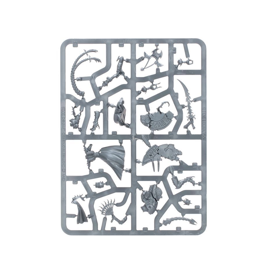 45-45 Drukhari: Lady Malys