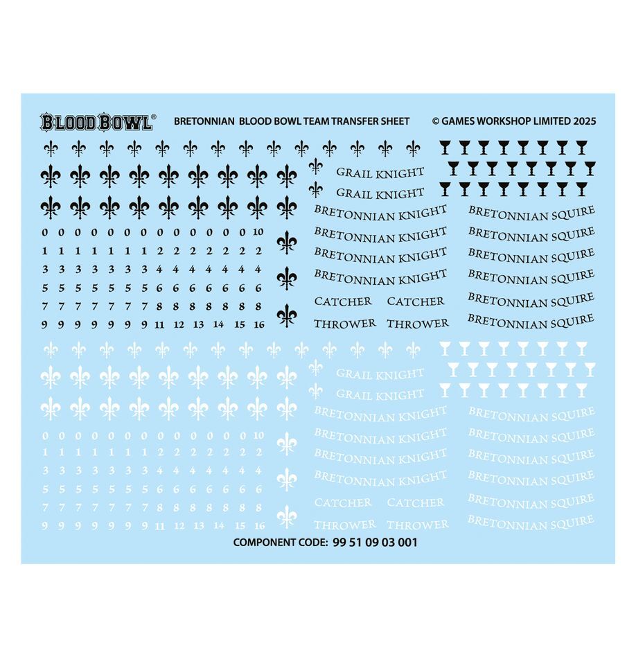 202-51 Blood Bowl: Bretonnian Team