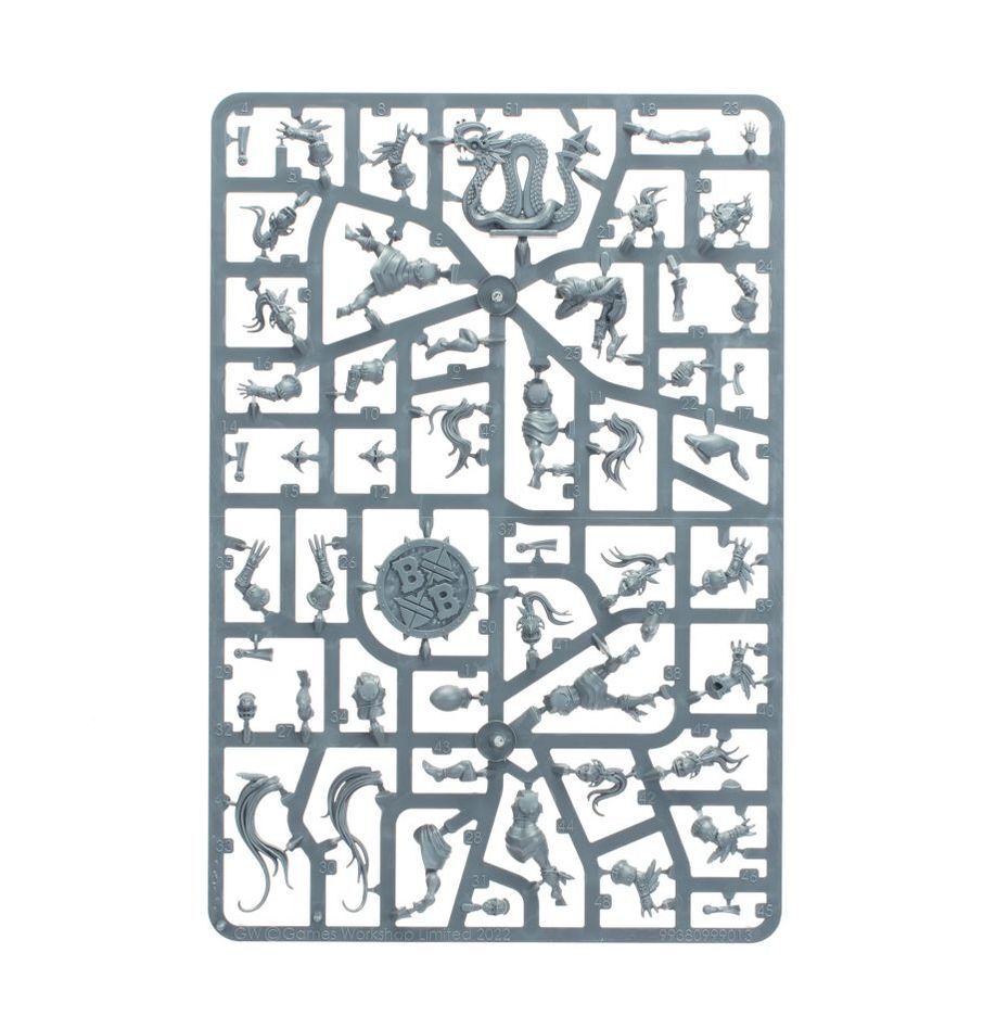 202-26 Blood Bowl: Amazon Team - Kara Temple Harpies