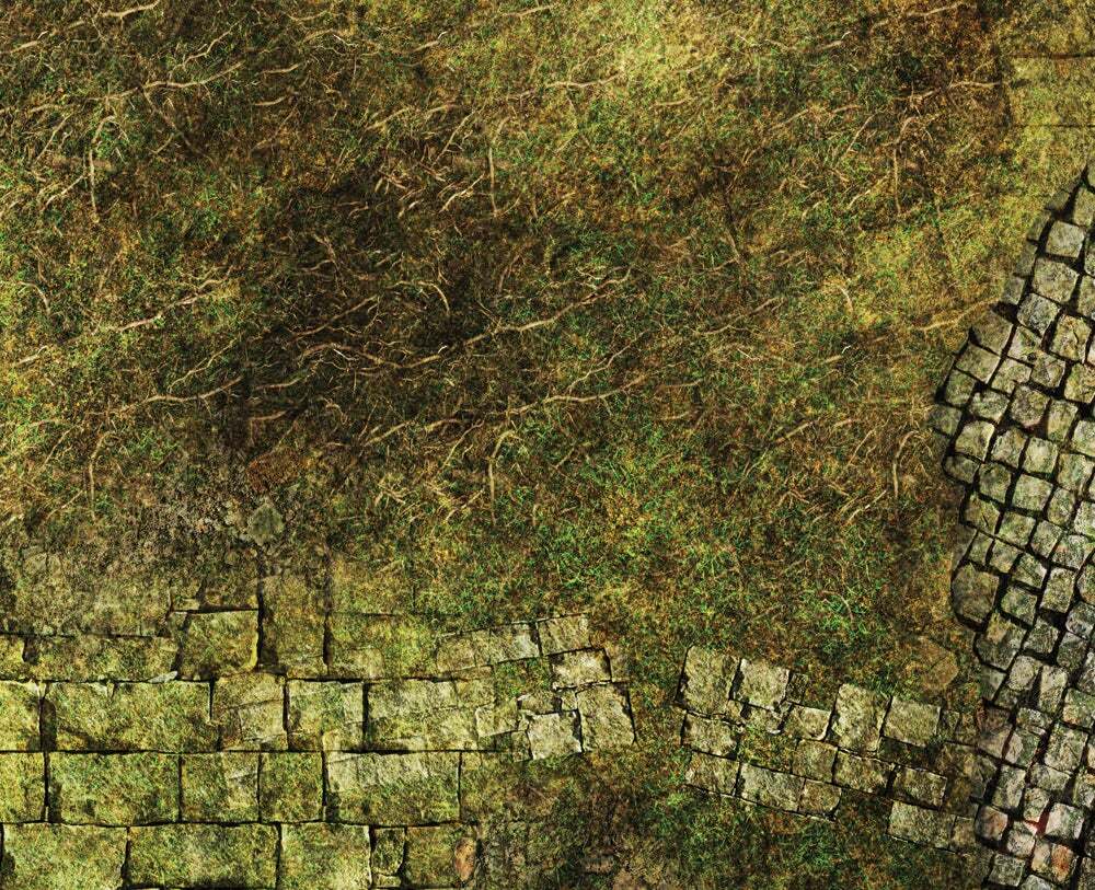 Battle Mat: 4x6 Lost Temple (6-28mm)