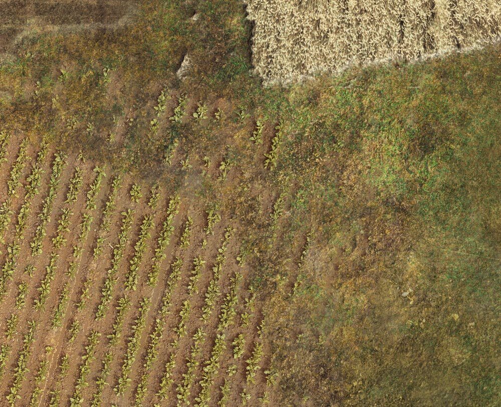 Battle Mat: 4x6 New Europe 2 - Just Fields (6-28mm Scale)