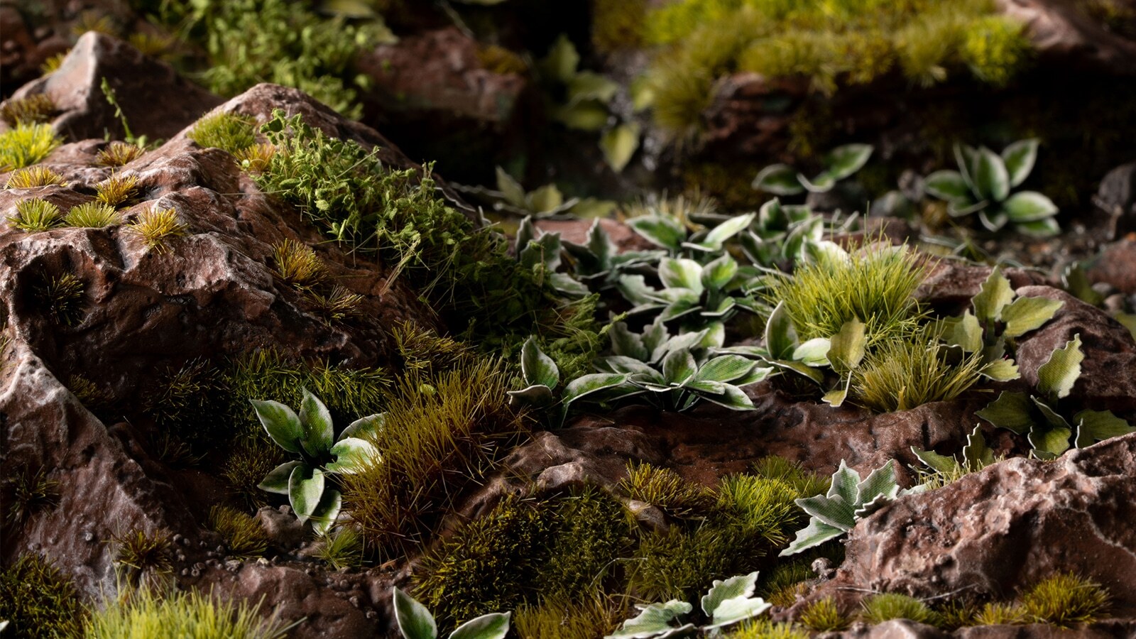 Gamer's Grass: Laser Plants: Plantain Lily