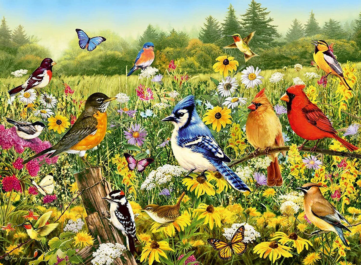 Birds In The Meadow Jigsaw Puzzle 500pc