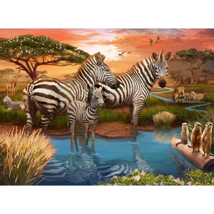 Zebras At Waterhole Jigsaw Puzzle 500pc