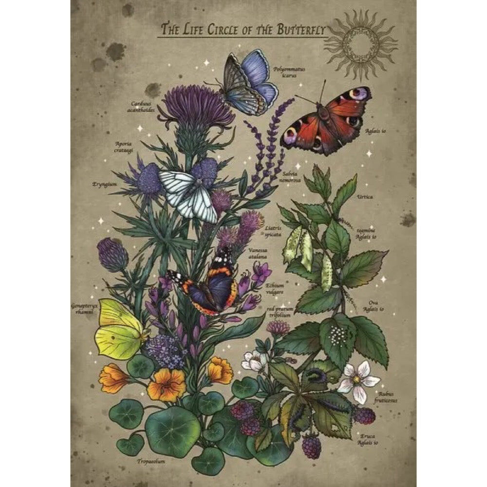 Lifecircle Butterfly Jigsaw Puzzle 1000pc