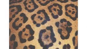 Ravensburger: Animal Print 1000pc