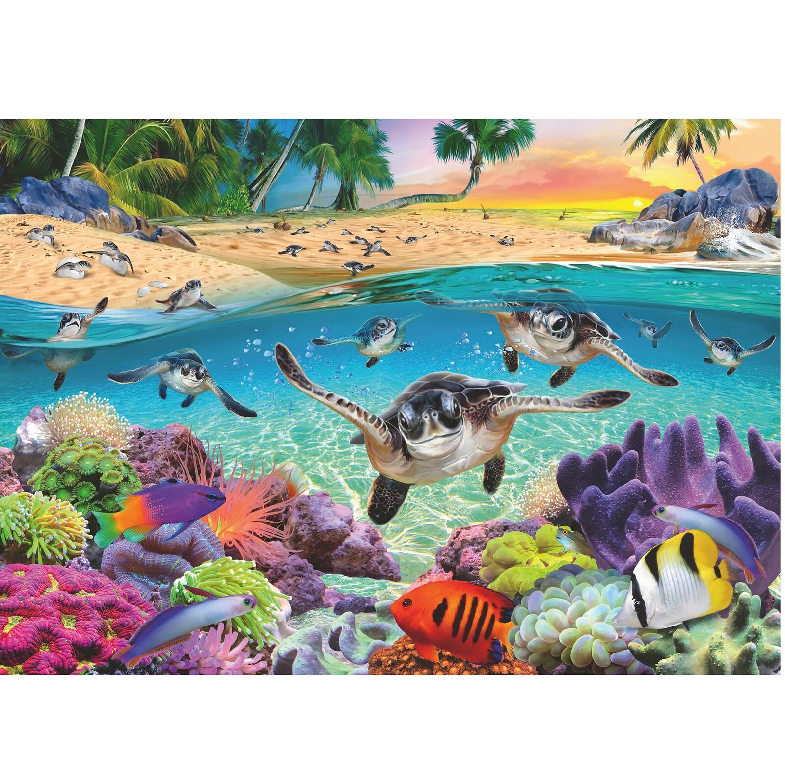 Race of the Baby Sea Turtles Jigsaw Puzzle 500pc Large Format