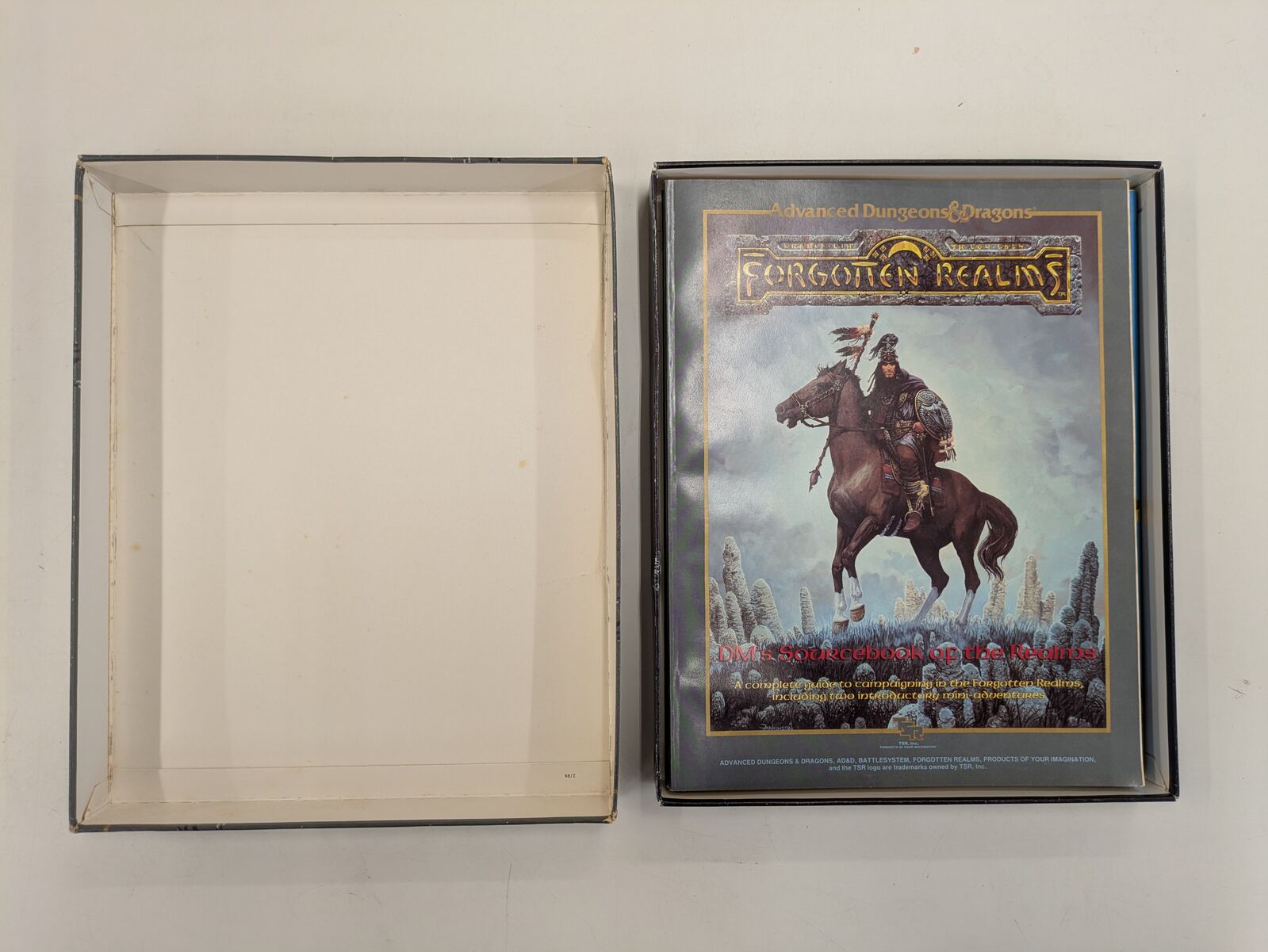 Advanced Dungeons & Dragons: Forgotten Realms Campaign Set (Second Hand)