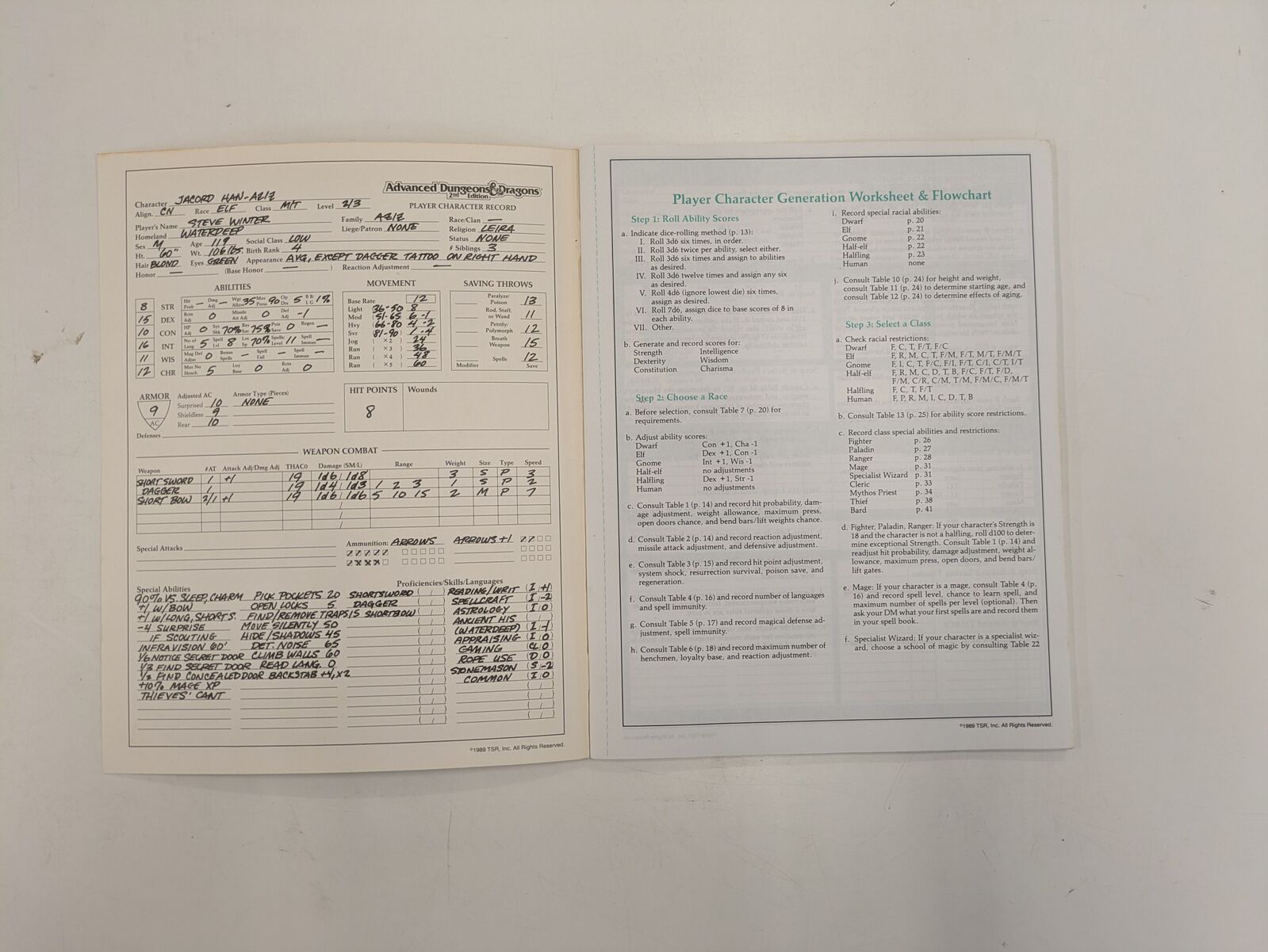Advanced Dungeons & Dragons 2nd Edition: Character Record Sheets (Second Hand)