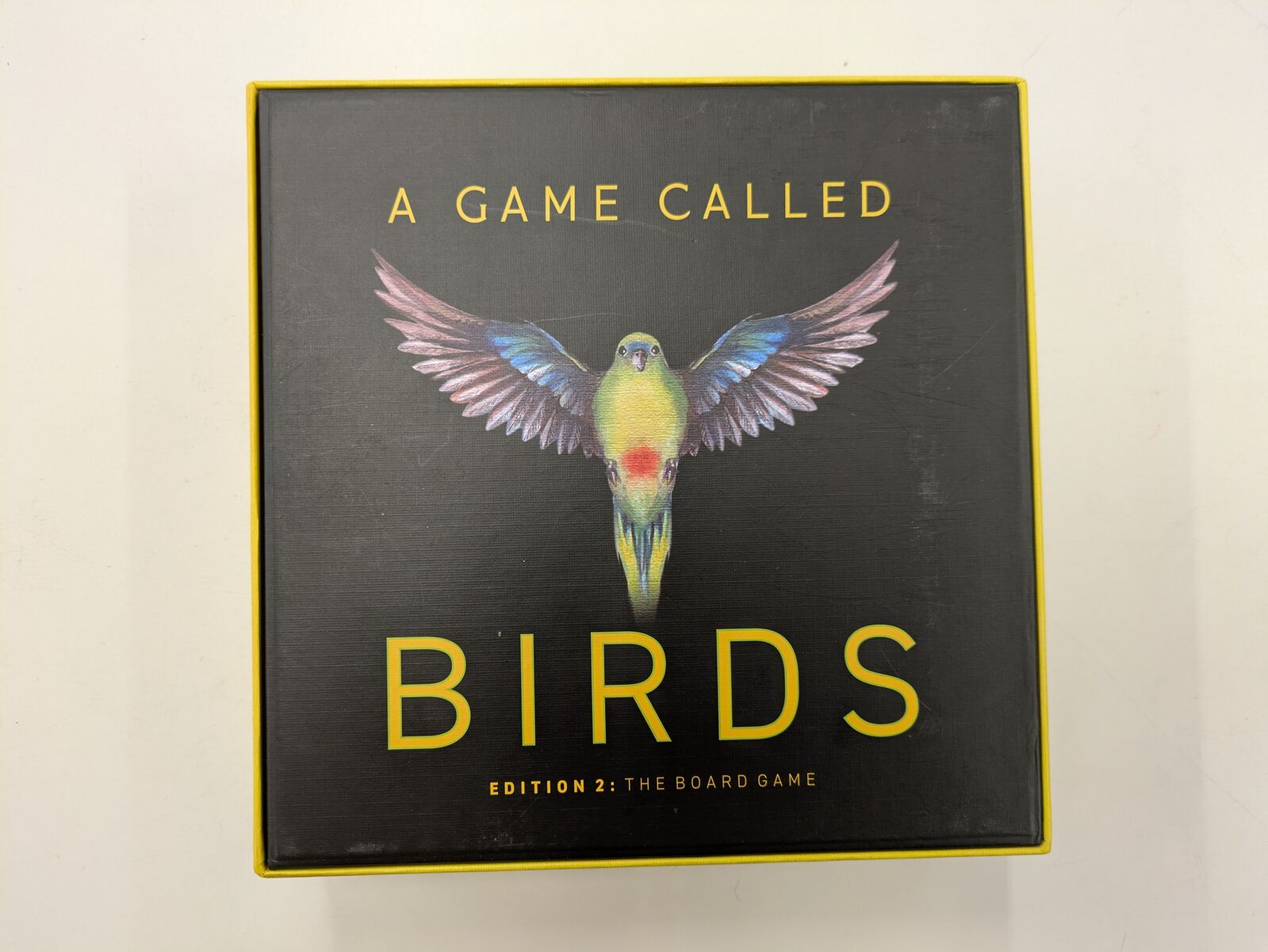 A Game Called Birds (Second Hand)