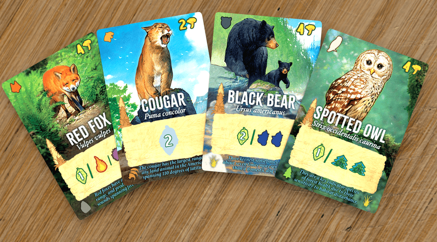 Canopy: Evergreen Standard Edition