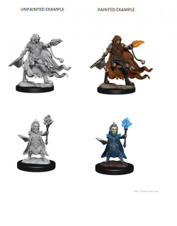 Pathfinder Deep Cuts Unpainted Minis — Evil Wizards