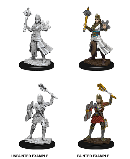 D&D Nolzurs Marvelous Unpainted Miniatures: Female Human Cleric