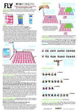 Fly: A Fly Swattin' Dexterity Game