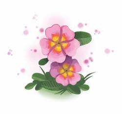 Petrichor: Flowers Expansion