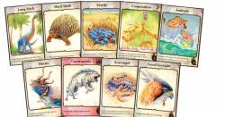 Evolution: the Beginning