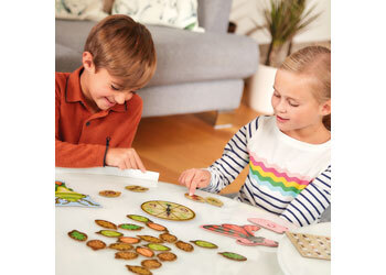 Orchard Game - Bug Hunters