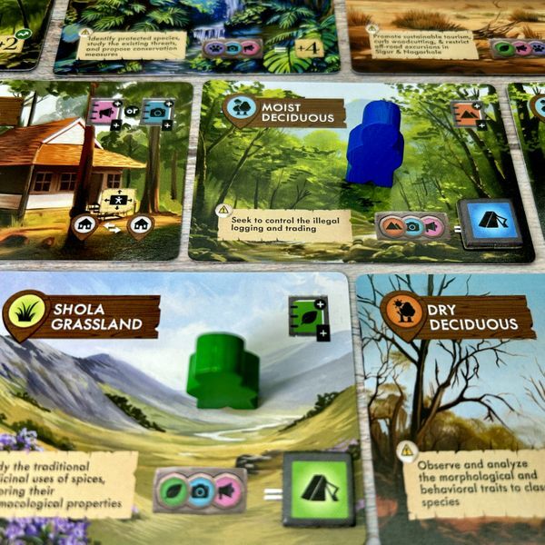 Biomes of Nilgiris