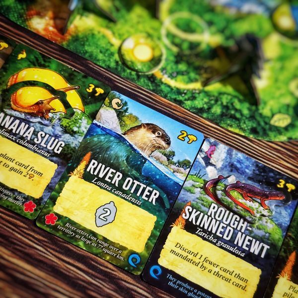 Canopy: Evergreen Standard Edition