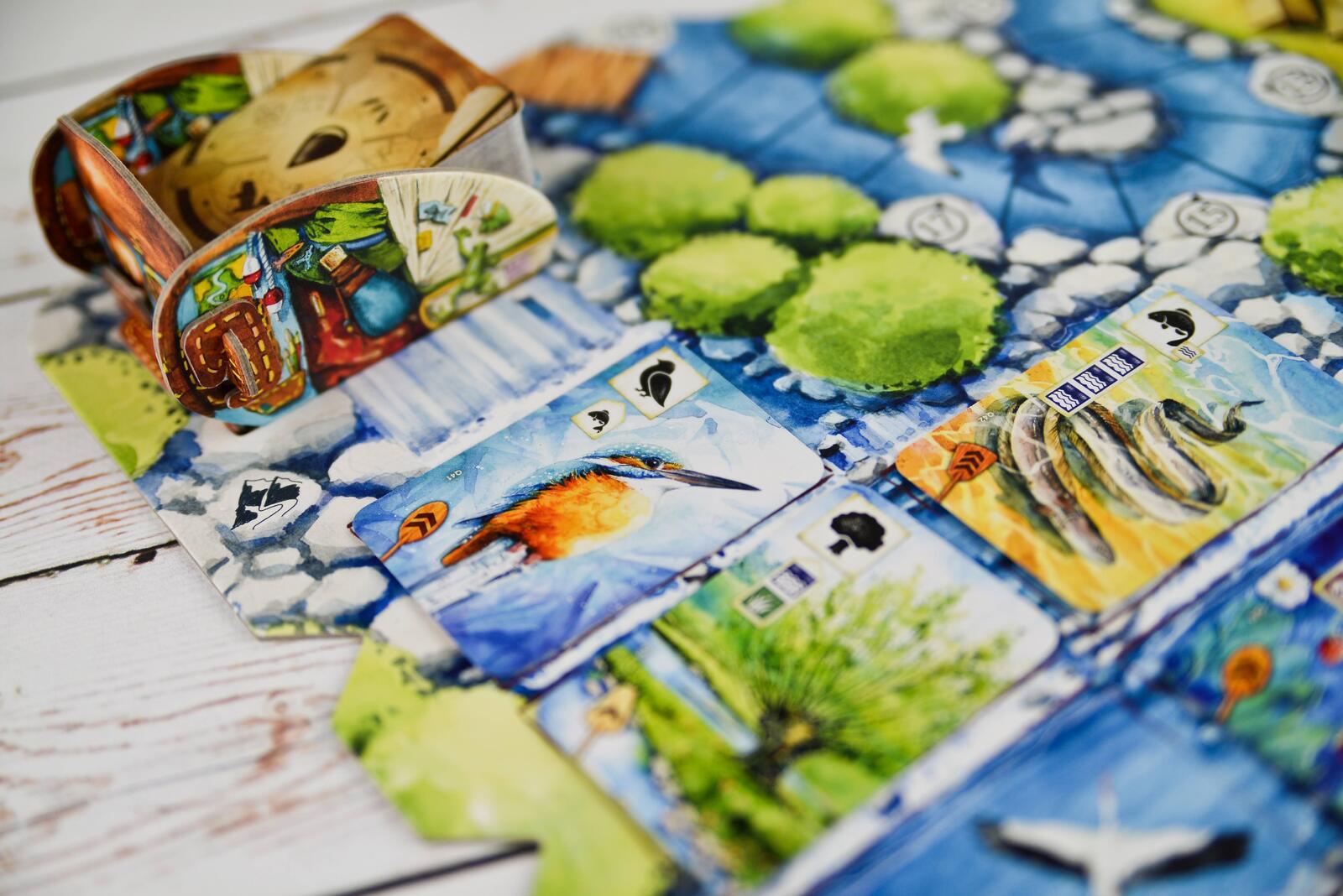 Meadow: Downstream Expansion