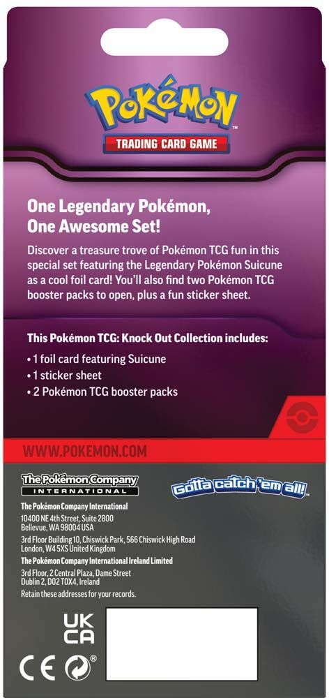 Pokemon TCG: Knock Out Collection (1)