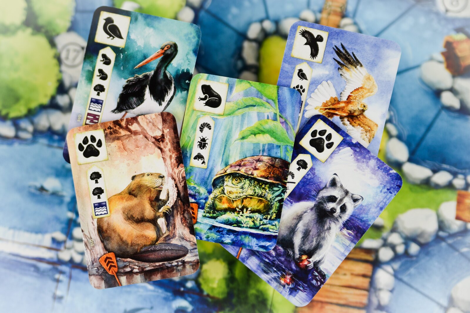 Meadow: Downstream Expansion