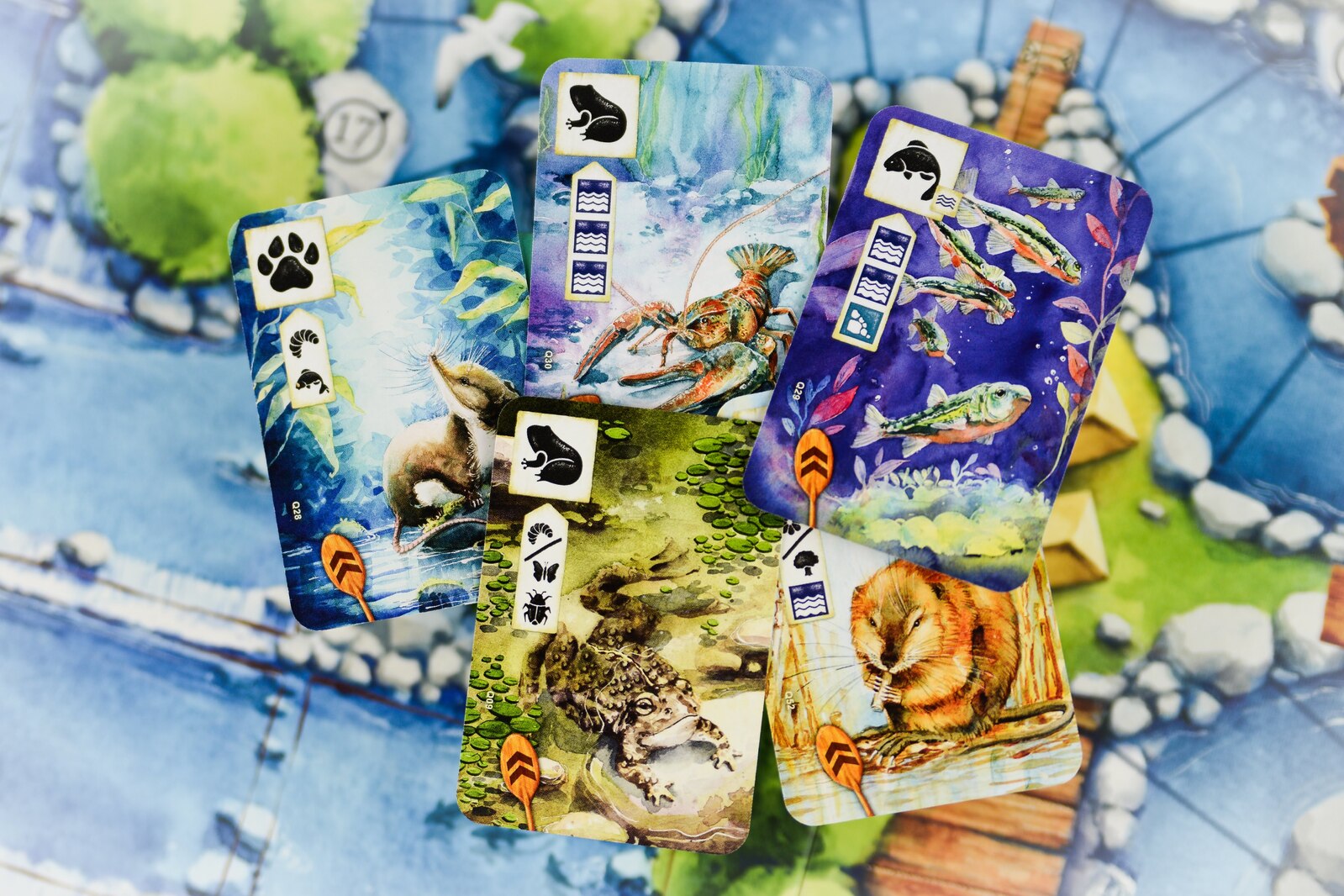 Meadow: Downstream Expansion