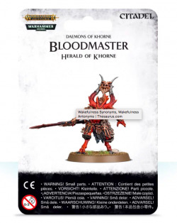 97-62 Bloodmaster Herald of Khorne