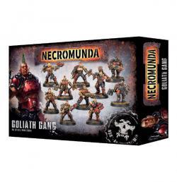 300-10 Necromunda: Goliath Gang