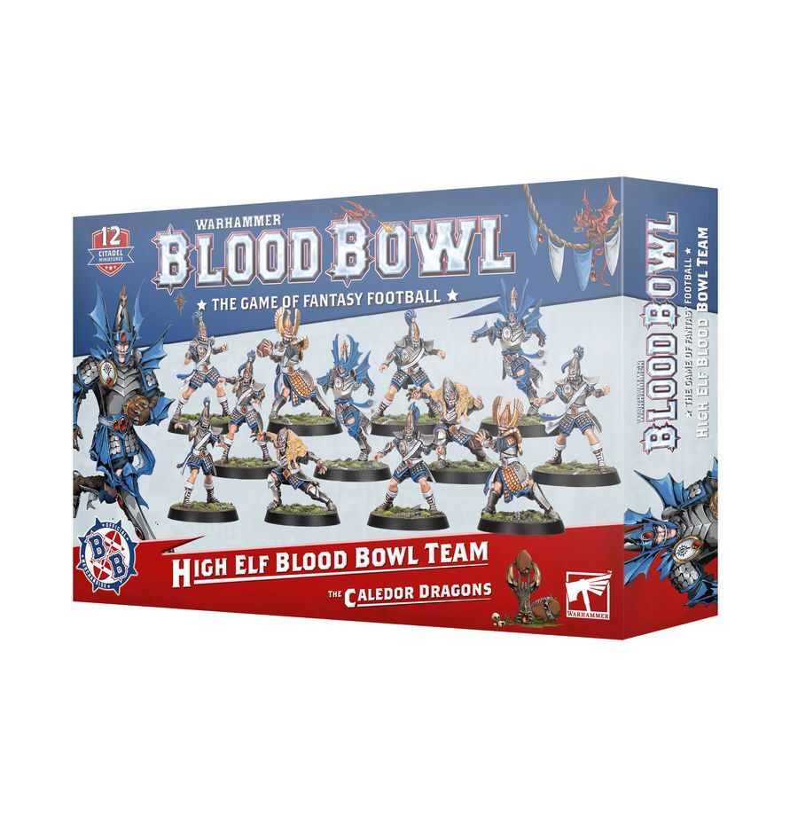202-62 Blood Bowl: High Elf Blood Bowl Team