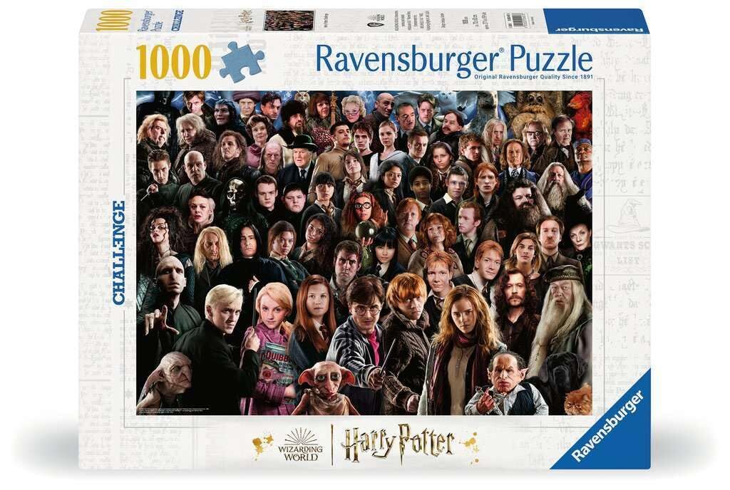 Challenge Harry Potter Jigsaw Puzzle 1000pc