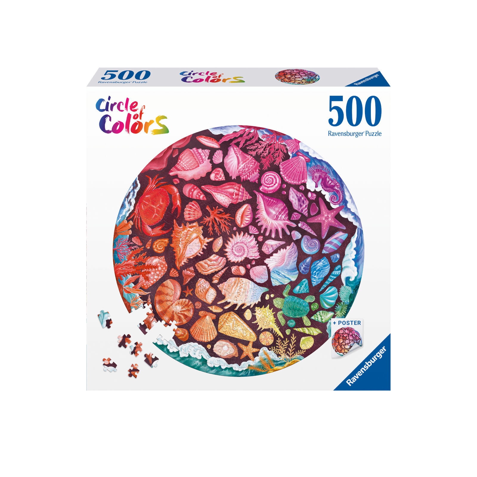 Circle of Colours: Seashells Jigsaw Puzzle 500pc