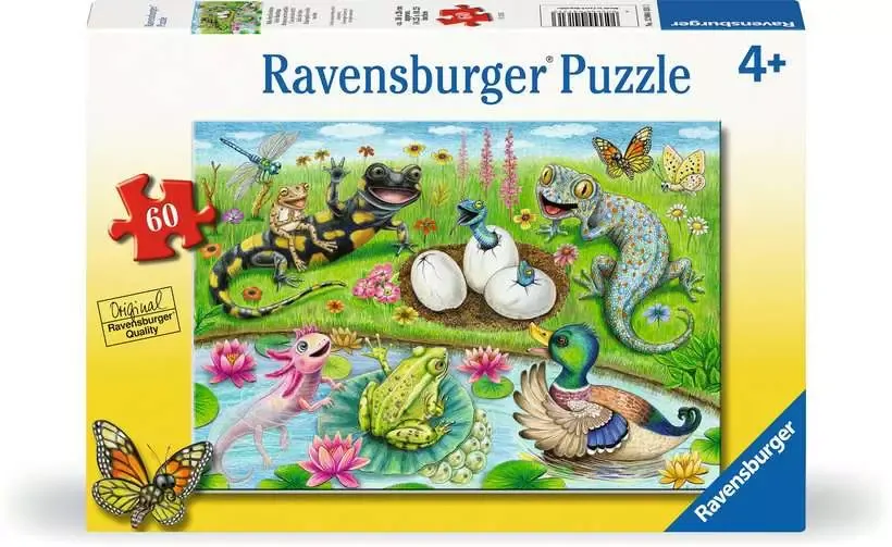 Hello Hatchlings Jigsaw Puzzle 60pc