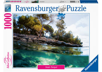 Ravensburger: Points of View 1000pc