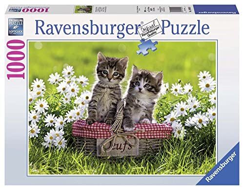 Ravensburger: Picnic in the Meadow Puzzle 1000pc