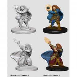 D&D Nolzurs Marvelous Unpainted Minis: Female Dwarf Wizard