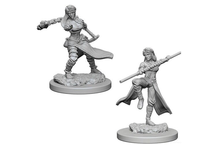 D&D Nolzurs Marvelous Unpainted Minis: Female Human Monk