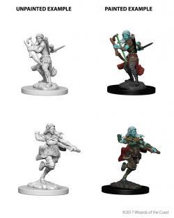 D&D Nolzurs Marvelous Unpainted Minis: Air Genasi Female Rogue