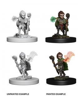 Pathfinder Deep Cuts Unpainted Minis — Male Gnome Druid