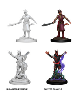 D&D Nolzurs Marvelous Unpainted Minis: Male Tiefling Warlock