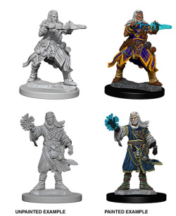 Pathfinder Deep Cuts Unpainted Minis — Male Human Wizard