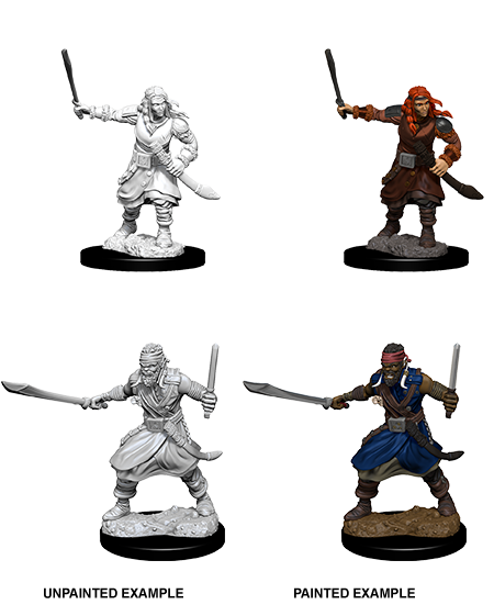 D&D Nolzurs Marvelous Unpainted Miniatures: Bandits