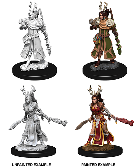 D&D Nolzurs Marvelous Unpainted Miniatures: Female Human Druid