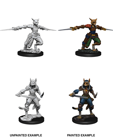 D&D Nolzurs Marvelous Unpainted Miniatures: Female Tabaxi Rogue