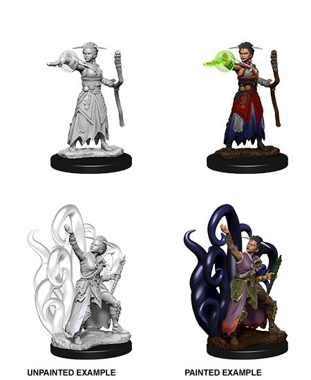 D&D Nolzurs Marvelous Unpainted Minis: Female Human Warlock