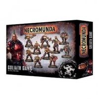 300-10 Necromunda: Goliath Gang
