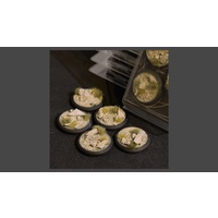 Arid Steppe Bases RoundLip 40mm (x5)