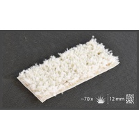 Spikey Winter (Wild)