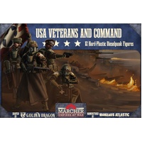 Marcher: USA Veterans and Command