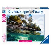Ravensburger: Points of View 1000pc